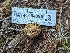  ( - HAY-F-004396)  @11 [ ] by-nc (2023) Stu Pickell Fungal Diversity Survey