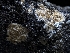  ( - HAY-F-004384)  @11 [ ] by-nc (2023) Stu Pickell Fungal Diversity Survey