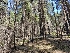  ( - HAY-F-000932)  @11 [ ] by-nc (2023) Warren Cardimona Fungal Diversity Survey