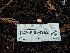  ( - HAY-F-004962)  @11 [ ] by-nc (2023) Warren Cardimona Fungal Diversity Survey