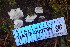  ( - HAY-F-000786)  @11 [ ] cc-by-nc (2023) Warren Cardimona FunDiS