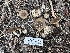  ( - HAY-F-001260)  @11 [ ] by-nc (2023) Aaron Tupac Fungal Diversity Survey