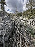  ( - HAY-F-002721)  @11 [ ] c (2023) Rudy Diaz Fungal Diversity Survey