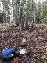  ( - HAY-F-005149)  @11 [ ] by-nc (2023) Dean Lyons Fungal Diversity Survey