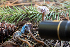  ( - HAY-F-005167)  @11 [ ] by-nc (2023) Dean Lyons Fungal Diversity Survey