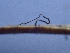  ( - HAY-F-001028)  @11 [ ] by-nc (2023) Dean Lyons Fungal Diversity Survey