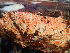  ( - HAY-F-005163)  @11 [ ] by-nc (2023) Dean Lyons Fungal Diversity Survey