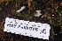  ( - HAY-F-000786)  @11 [ ] cc-by-nc (2023) Warren Cardimona FunDiS