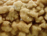  ( - HAY-F-004996)  @11 [ ] by-nc (2023) Dean Lyons Fungal Diversity Survey