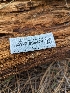  ( - HAY-F-004474)  @11 [ ] by-nc (2023) Stu Pickell Fungal Diversity Survey