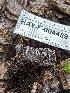  ( - HAY-F-004489)  @11 [ ] by-nc (2023) Stu Pickell Fungal Diversity Survey