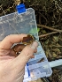  ( - HAY-F-004505)  @11 [ ] by-nc (2023) Stu Pickell Fungal Diversity Survey