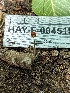  ( - HAY-F-004519)  @11 [ ] by-nc (2023) Stu Pickell Fungal Diversity Survey