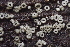 ( - HAY-F-005384)  @11 [ ] by-nc (2023) Damon Tighe Fungal Diversity Survey