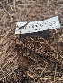  ( - HAY-F-004471)  @11 [ ] by-nc (2023) Stu Pickell Fungal Diversity Survey