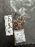  ( - HAY-F-002747)  @11 [ ] c (2023) Rudy Diaz Fungal Diversity Survey