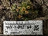  ( - HAY-F-002754)  @11 [ ] c (2023) Rudy Diaz Fungal Diversity Survey