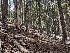  ( - HAY-F-004924)  @11 [ ] by-nc (2023) Warren Cardimona Fungal Diversity Survey