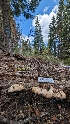  ( - HAY-F-001413)  @11 [ ] c (2023) Michelle C. Torres-Grant Fungal Diversity Survey