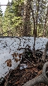  ( - HAY-F-001433)  @11 [ ] c (2023) Michelle C. Torres-Grant Fungal Diversity Survey