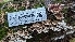  ( - HAY-F-001436)  @11 [ ] c (2023) Michelle C. Torres-Grant Fungal Diversity Survey