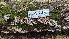  ( - HAY-F-001436)  @11 [ ] c (2023) Michelle C. Torres-Grant Fungal Diversity Survey