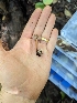  ( - HAY-F-004418)  @11 [ ] by-nc (2023) Stu Pickell Fungal Diversity Survey
