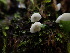  ( - HAY-F-001798)  @11 [ ] cc-by-nc (2023) Luca Hickey FunDiS