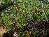  ( - HAY-F-005037)  @11 [ ] by-nc (2023) Dean Lyons Fungal Diversity Survey
