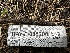  ( - HAY-F-005200)  @11 [ ] c (2023) Rudy Diaz Fungal Diversity Survey