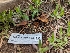  ( - HAY-F-004448)  @11 [ ] by-nc (2023) Stu Pickell Fungal Diversity Survey
