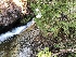  ( - HAY-F-005066)  @11 [ ] by-nc (2023) Dean Lyons Fungal Diversity Survey