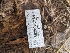  ( - HAY-F-004392)  @11 [ ] by-nc (2023) Stu Pickell Fungal Diversity Survey