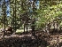  ( - HAY-F-004899)  @11 [ ] by-nc (2023) Warren Cardimona Fungal Diversity Survey