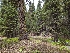  ( - HAY-F-004897)  @11 [ ] by-nc (2023) Warren Cardimona Fungal Diversity Survey