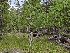  ( - HAY-F-004892)  @11 [ ] by-nc (2023) Warren Cardimona Fungal Diversity Survey