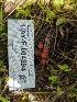  ( - HAY-F-004884)  @11 [ ] by-nc (2023) Warren Cardimona Fungal Diversity Survey