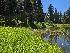  ( - HAY-F-004884)  @11 [ ] by-nc (2023) Warren Cardimona Fungal Diversity Survey
