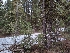  ( - HAY-F-004876)  @11 [ ] by-nc (2023) Warren Cardimona Fungal Diversity Survey