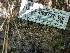  ( - HAY-F-005777)  @11 [ ] by-nc (2023) Stu Pickell Fungal Diversity Survey