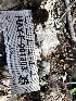  (Postia sp. CA01 - HAY-F-001303)  @11 [ ] by-nc (2023) Aaron Tupac Fungal Diversity Survey