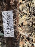  ( - HAY-F-001300)  @11 [ ] by-nc (2023) Aaron Tupac Fungal Diversity Survey