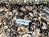  ( - HAY-F-001302)  @11 [ ] by-nc (2023) Aaron Tupac Fungal Diversity Survey