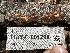  ( - HAY-F-001298)  @11 [ ] by-nc (2023) Aaron Tupac Fungal Diversity Survey