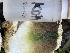  ( - HAY-F-005399)  @11 [ ] by-nc (2023) Damon Tighe Fungal Diversity Survey