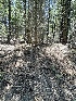  ( - HAY-F-005416)  @11 [ ] by-nc (2023) Damon Tighe Fungal Diversity Survey