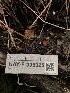  ( - HAY-F-006025)  @11 [ ] by-nc (2023) Dean Lyons Fungal Diversity Survey