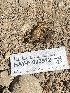  ( - HAY-F-003912)  @11 [ ] by-nc (2023) Grace Stark Fungal Diversity Survey