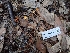  ( - HAY-F-001941)  @11 [ ] cc-by-nc (2023) Luca Hickey FunDiS