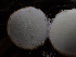 ( - HAY-F-006021)  @11 [ ] by-nc (2023) Dean Lyons Fungal Diversity Survey